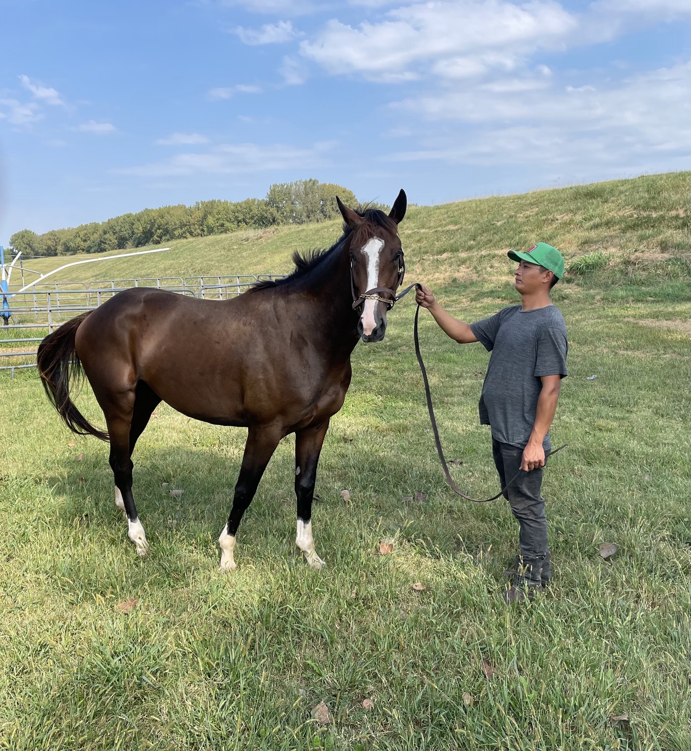 Bernie White Socks standing in a grassy field with his handler