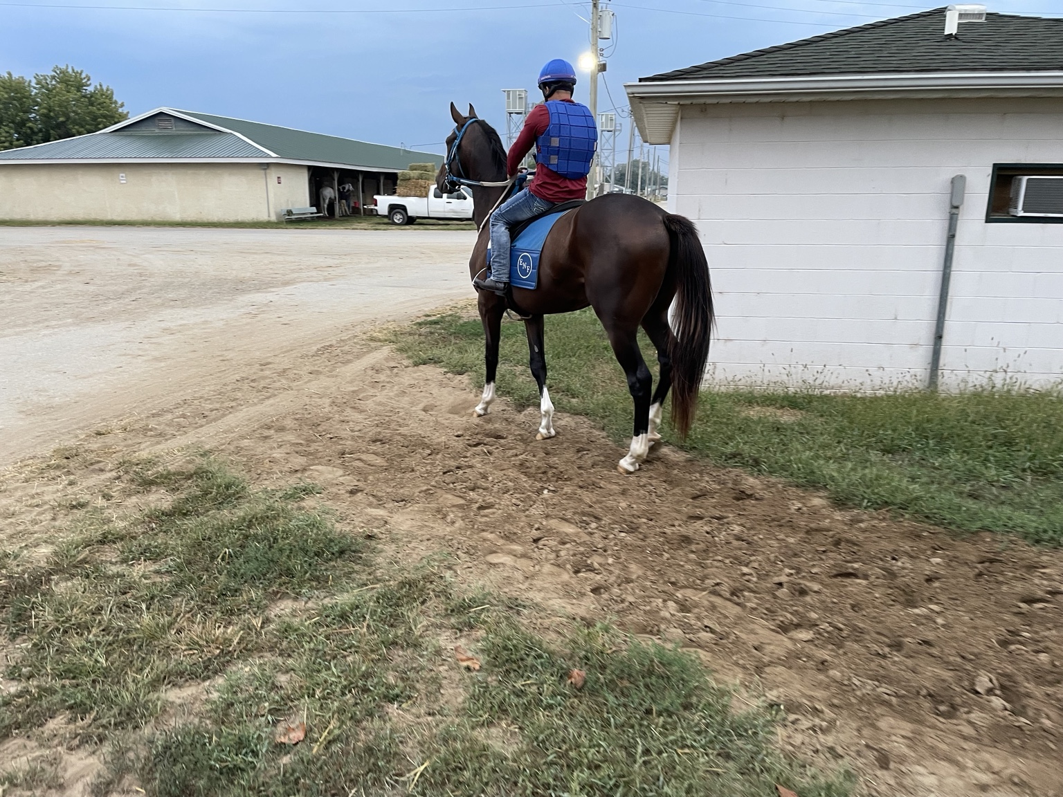 Bernie White Socks returning from training