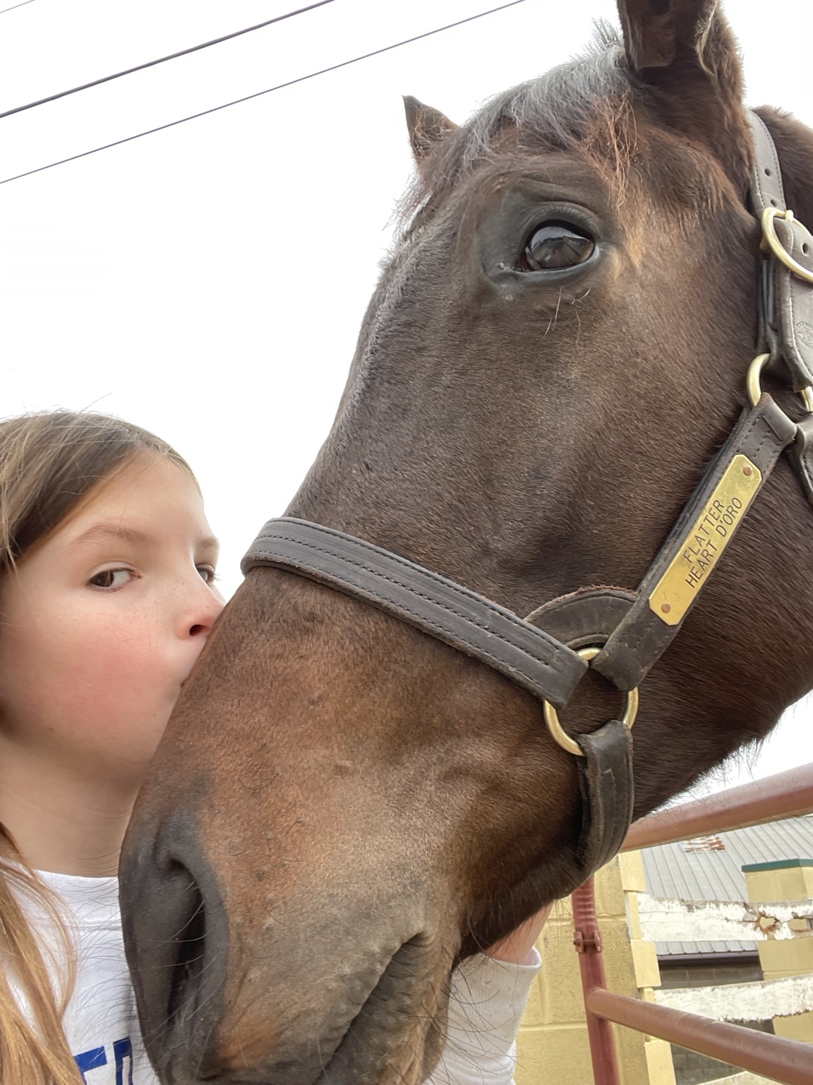 Rachel kissing Daisy at Bannon Woods Farm