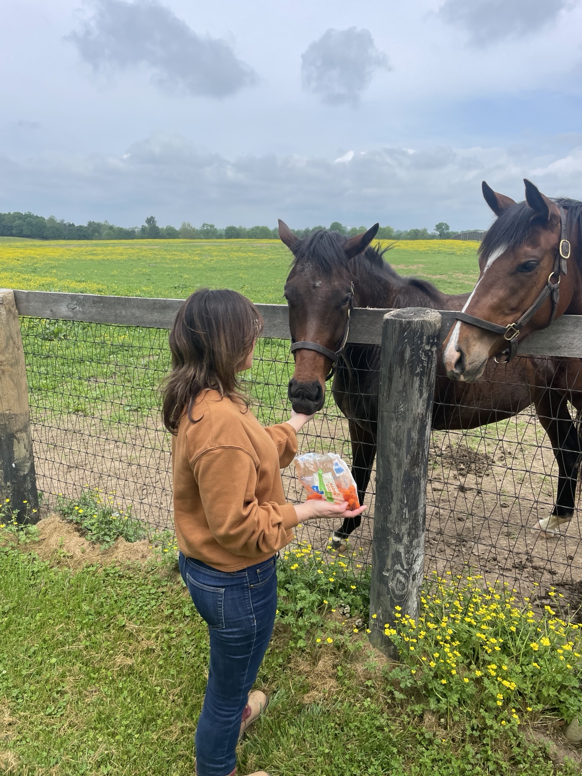 Rachel visiting Daisy at Buck Pond Farm