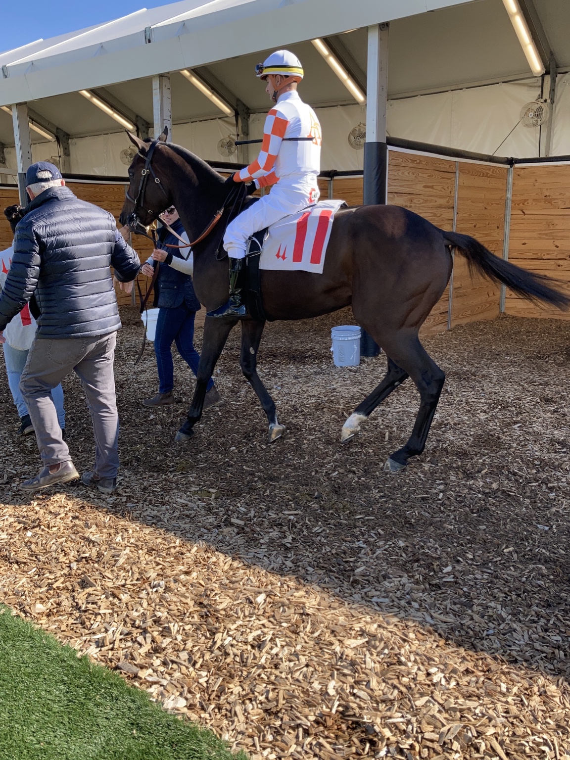 Daisy and her jockey before her first race
