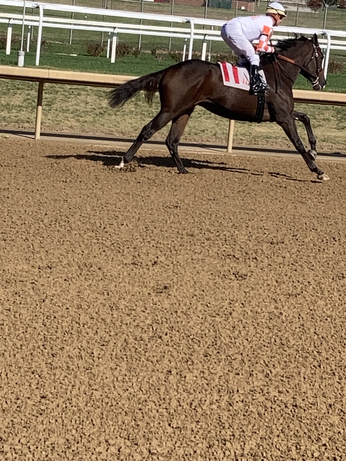 Daisy running in her first race at Churchill Downs
