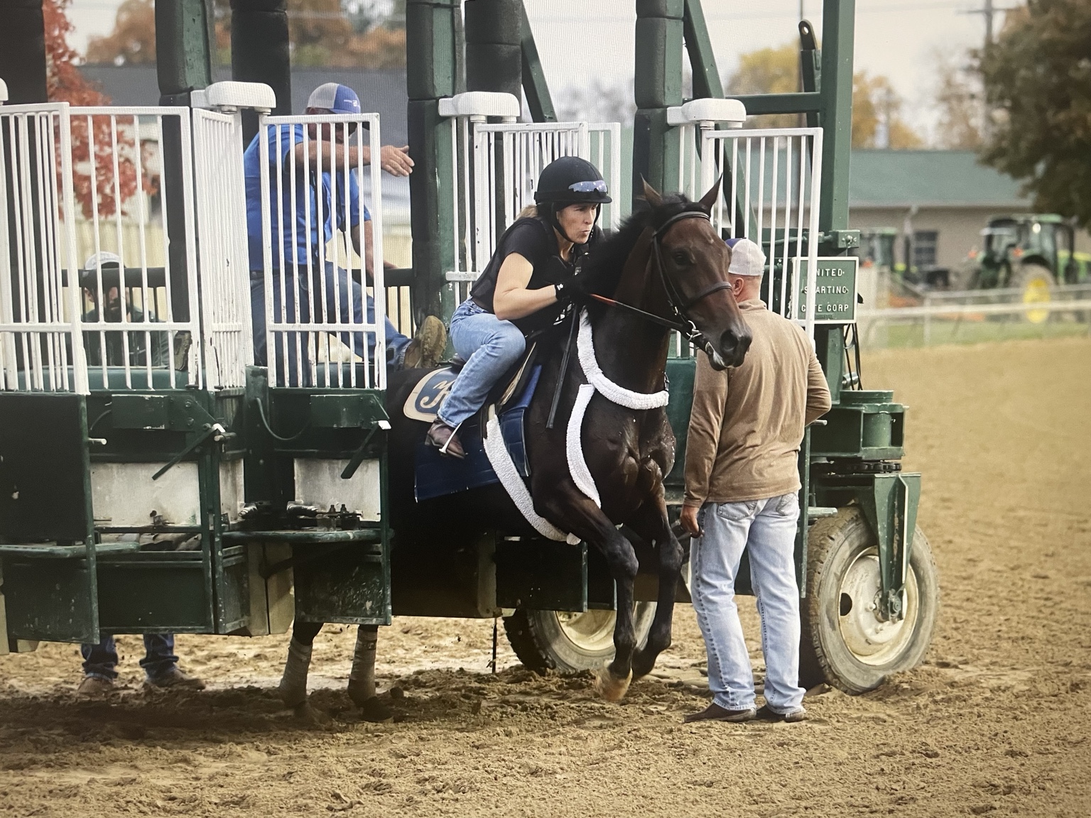 Daisy receiving extra starting-gate training