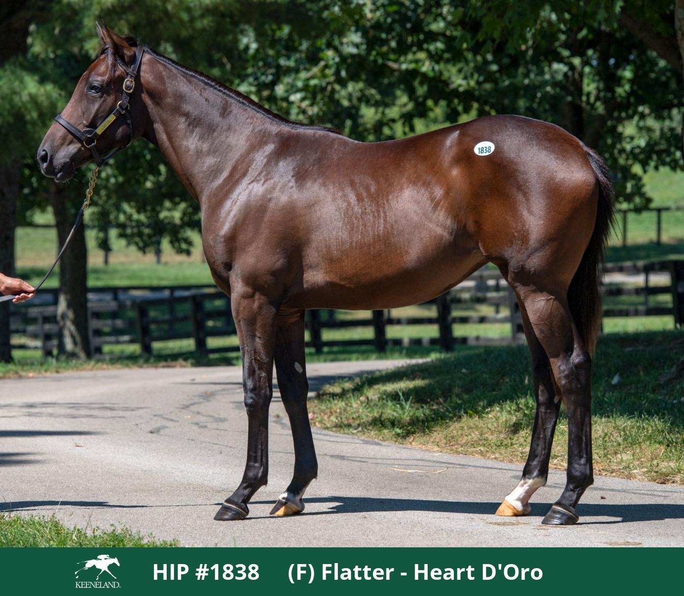 Flattering Heart pictured as Keeneland Hip 1838