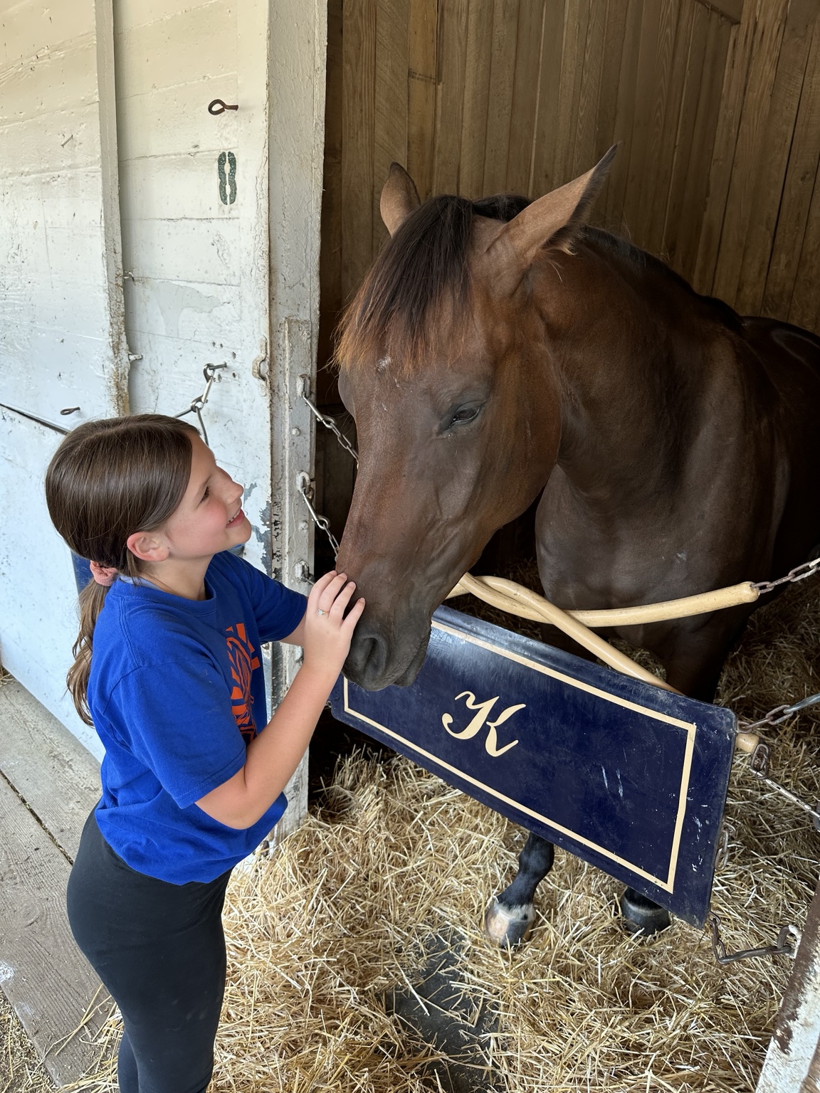 Rachel visiting Daisy at Churchill Downs