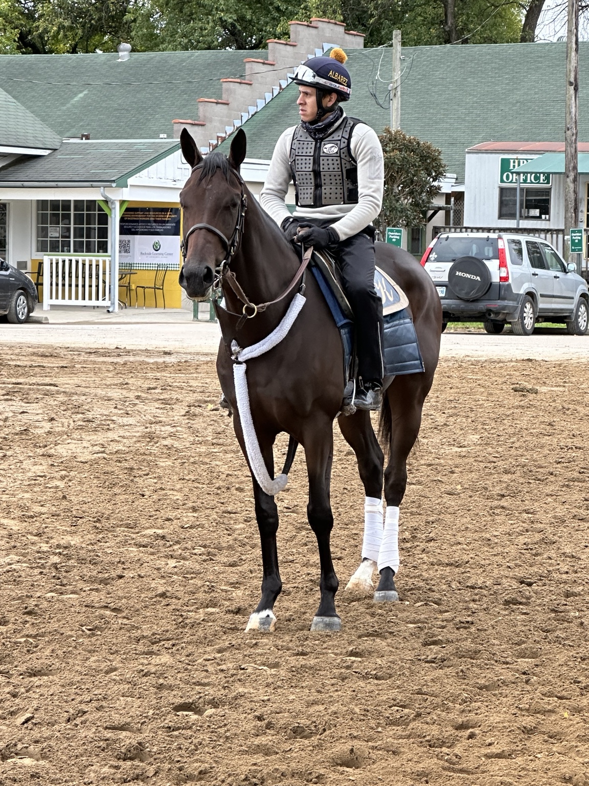 Daisy during morning training