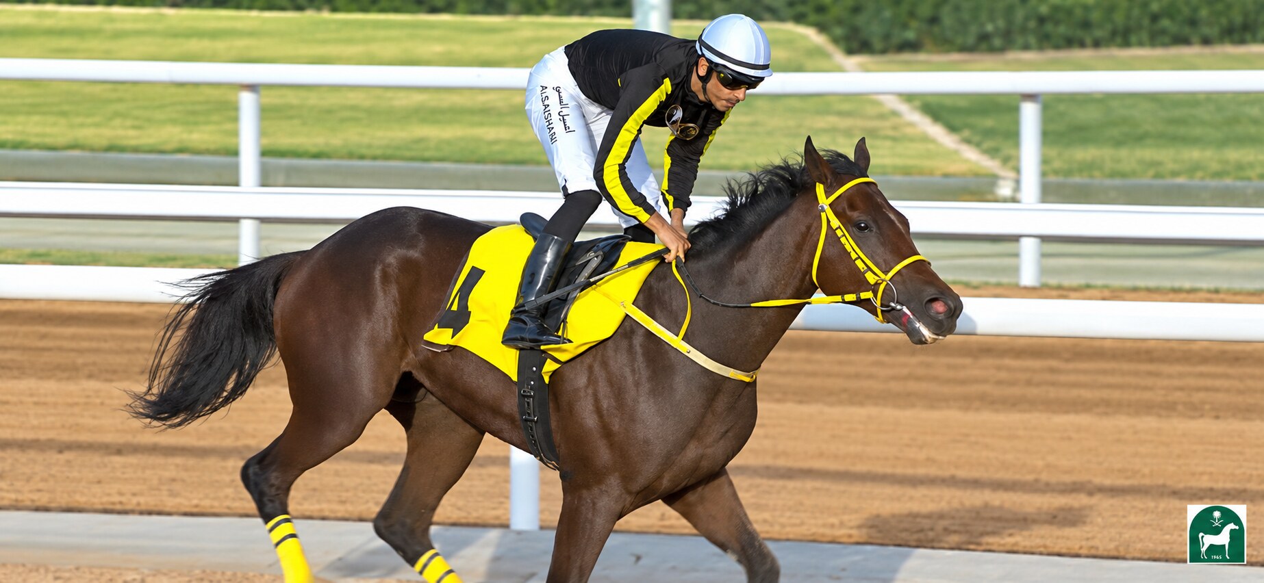 Ashaaq and his jockey during their winning debut in Saudi Arabia