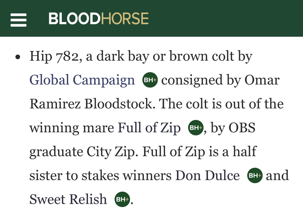 BloodHorse mention of OBS Hip 782, by Global Campaign out of Full of Zip
