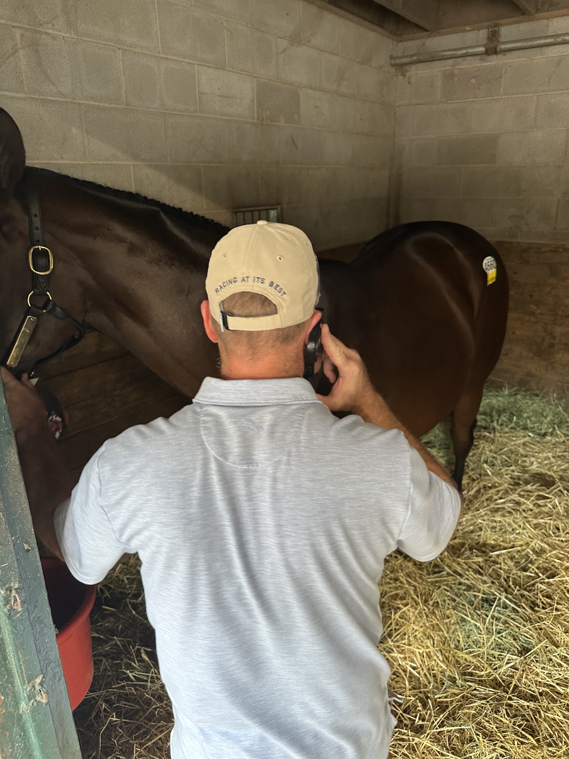 Eric Foster checking the colt in his Keeneland stall
