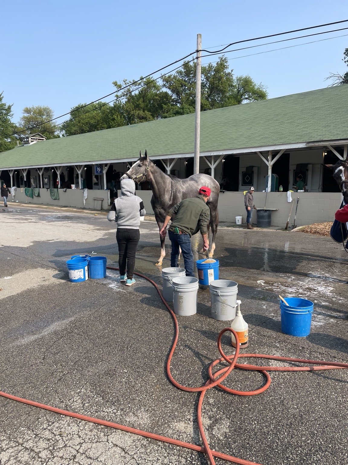 Hope Continually standing tall outside the Churchill Downs barn
