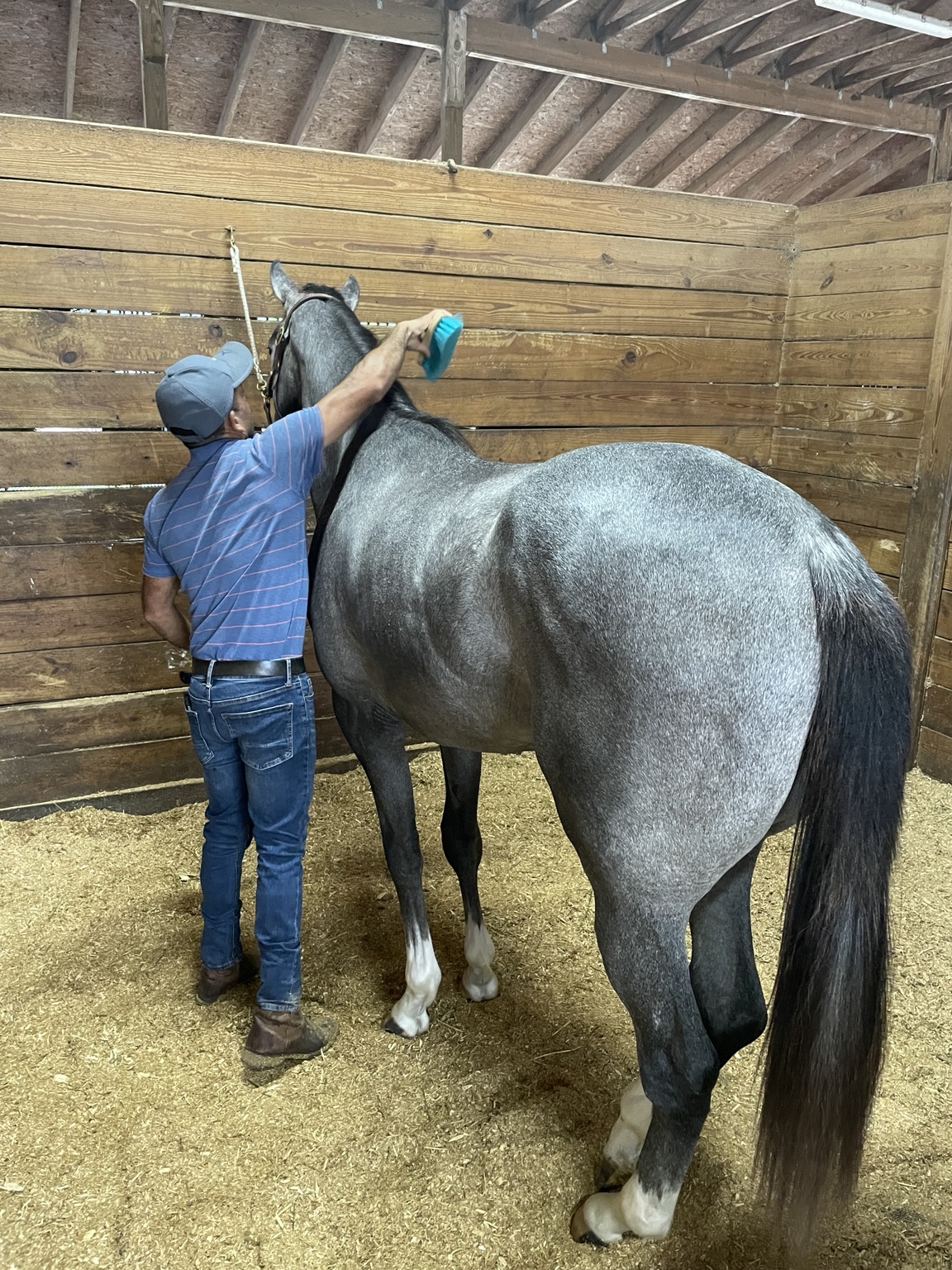 Hope Continually being groomed in Ocala