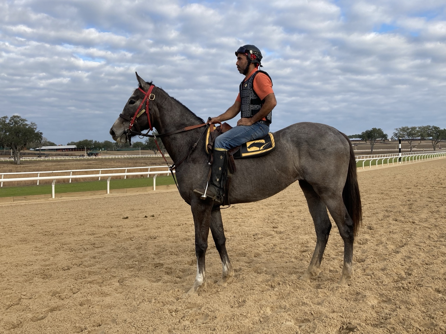 Hope Continually under tack during early training in Ocala