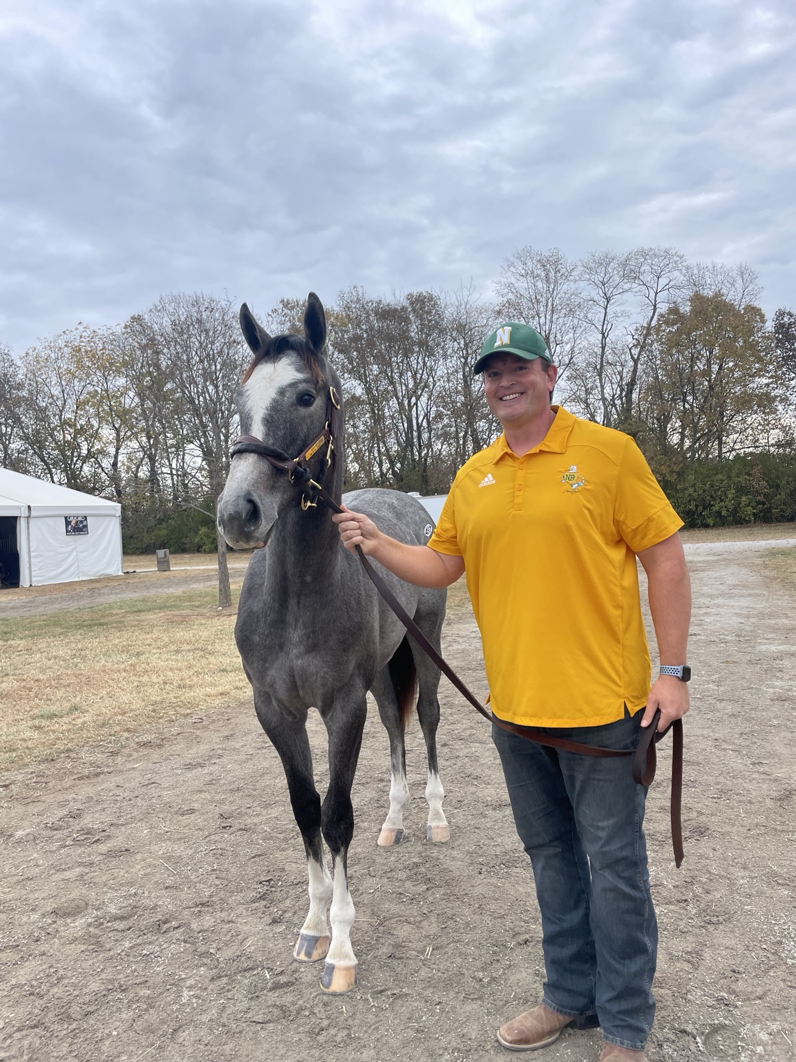 The undersized Hope Continually with Adam at the October sale