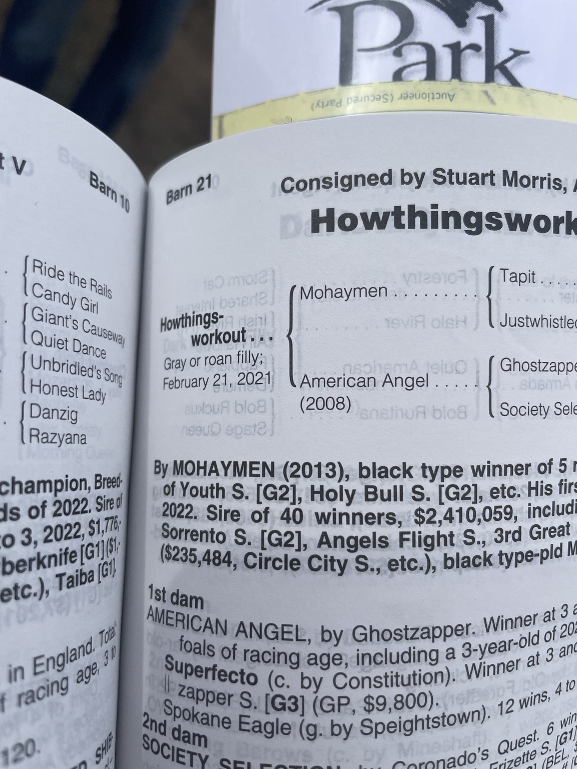 Hope Continually's sale catalog pedigree as Howthingsworkout