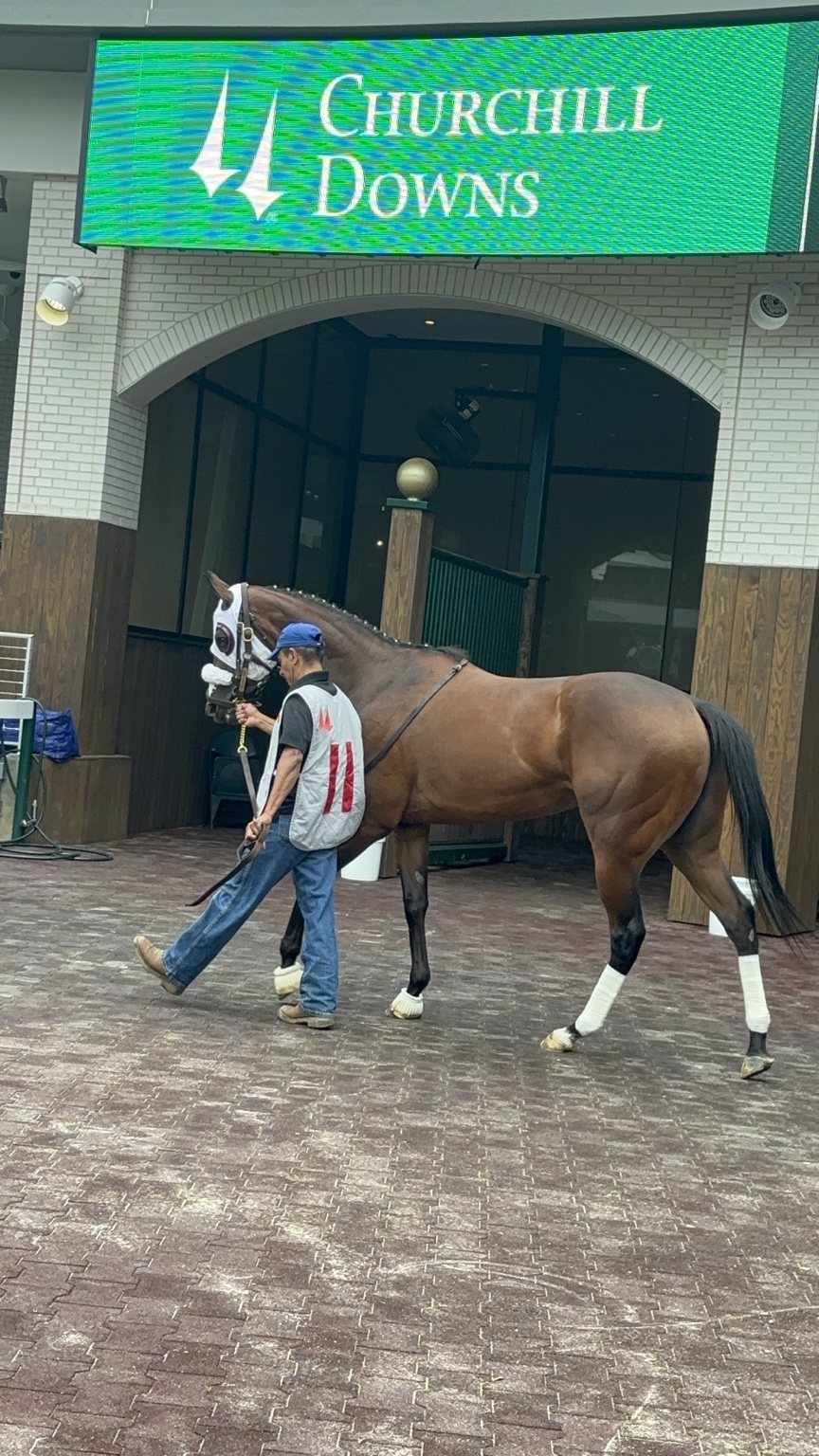 Kachow walking beneath the Churchill Downs sign on race day