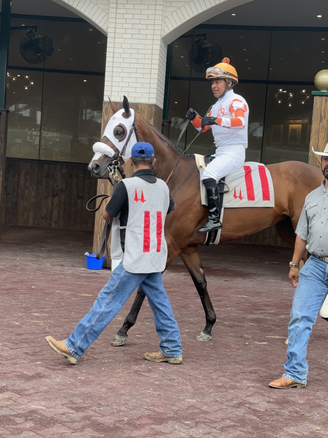 Kachow and her jockey entering the Churchill Downs paddock