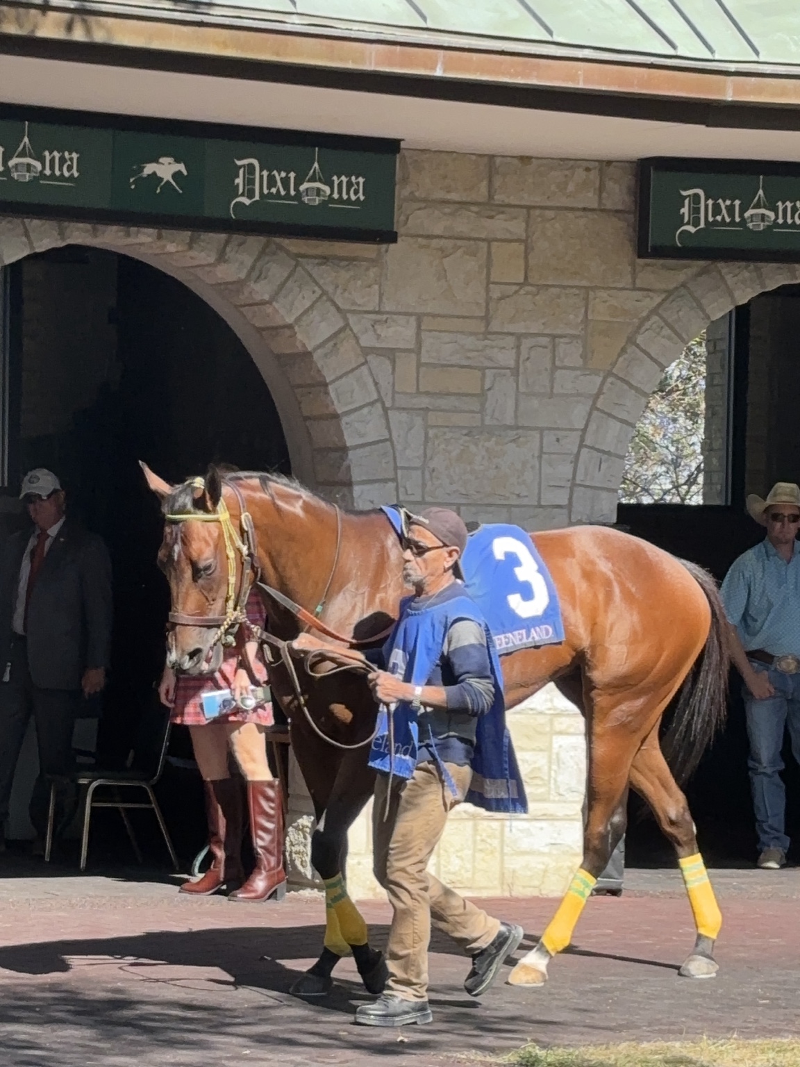 Kachow wearing number three in the Keeneland paddock